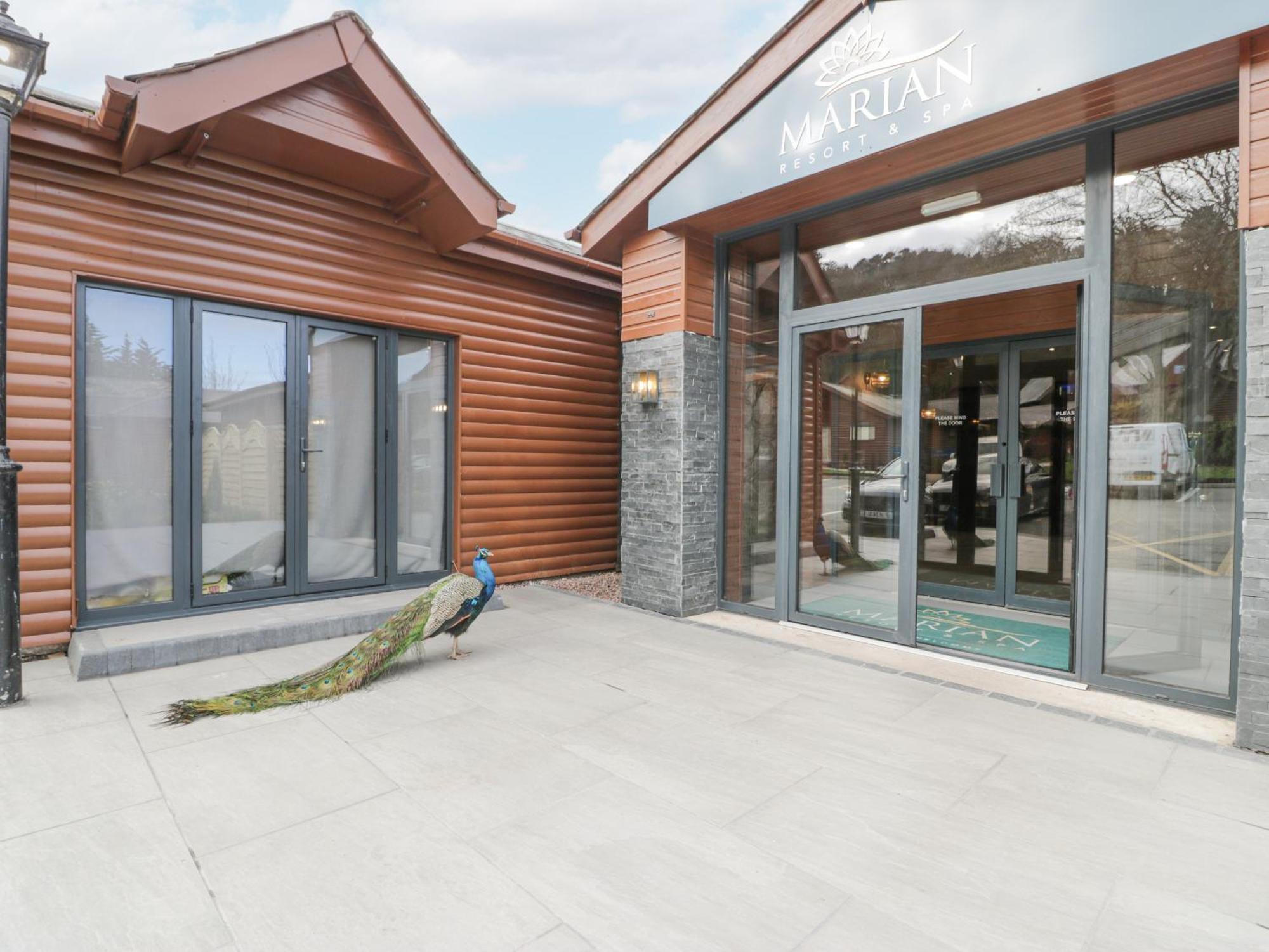 Luxury Lodge 62 Rhyl Exteriér fotografie